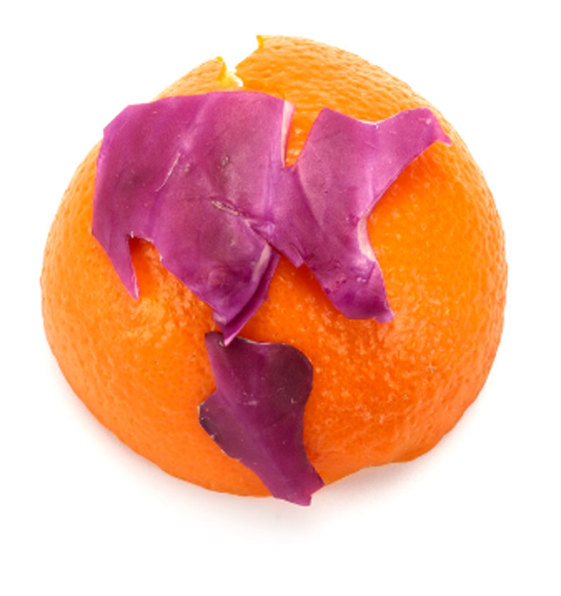 Orange Peel & Red Cabbage leaves